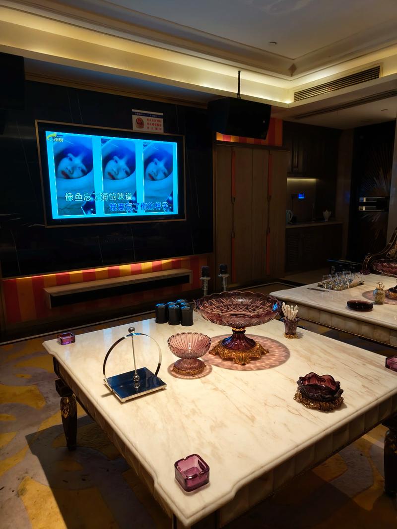 临沧商务ktv怎么玩才能尽兴-永德县ktv预定